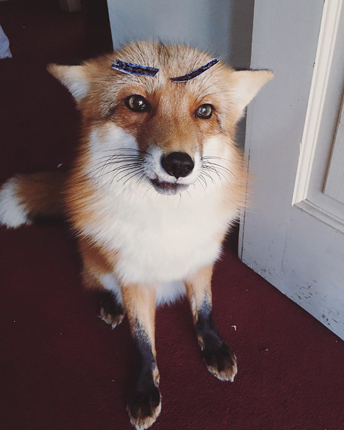 juniper-fox-happiest-instagram-25