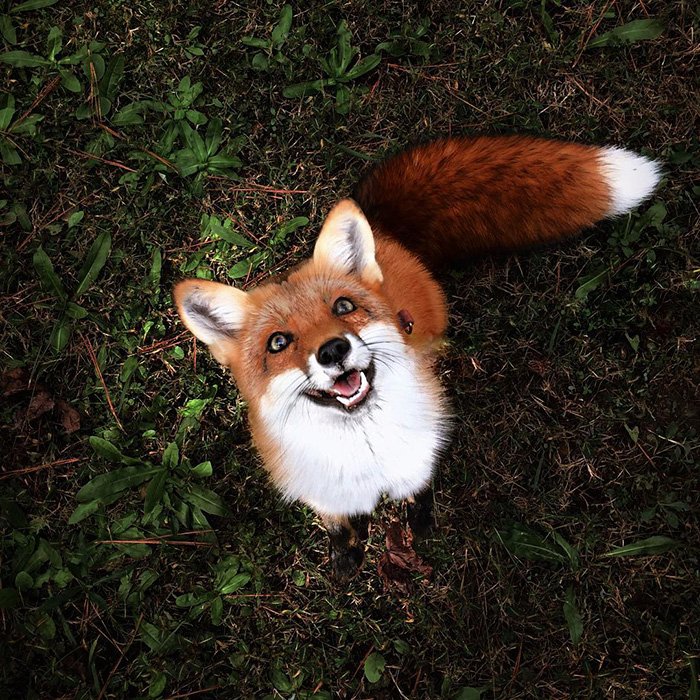 juniper-fox-happiest-instagram-9