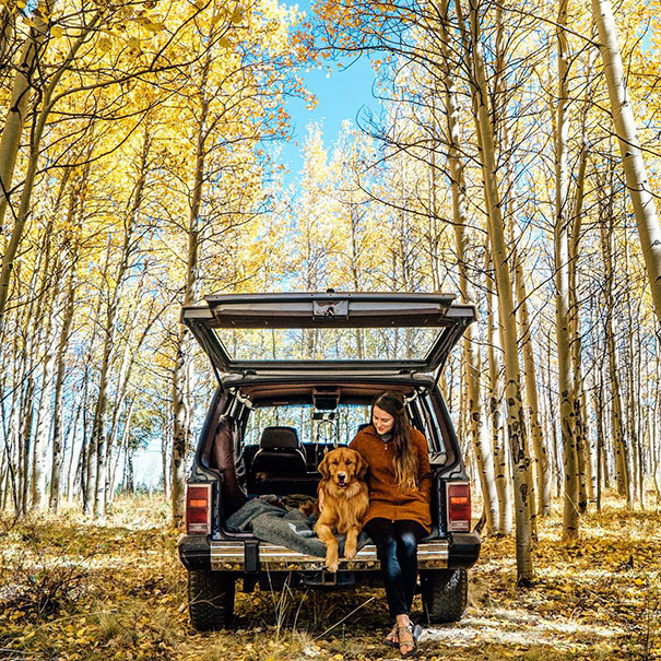 traveling-dog-aspen-the-mountain-pup-instagram-44