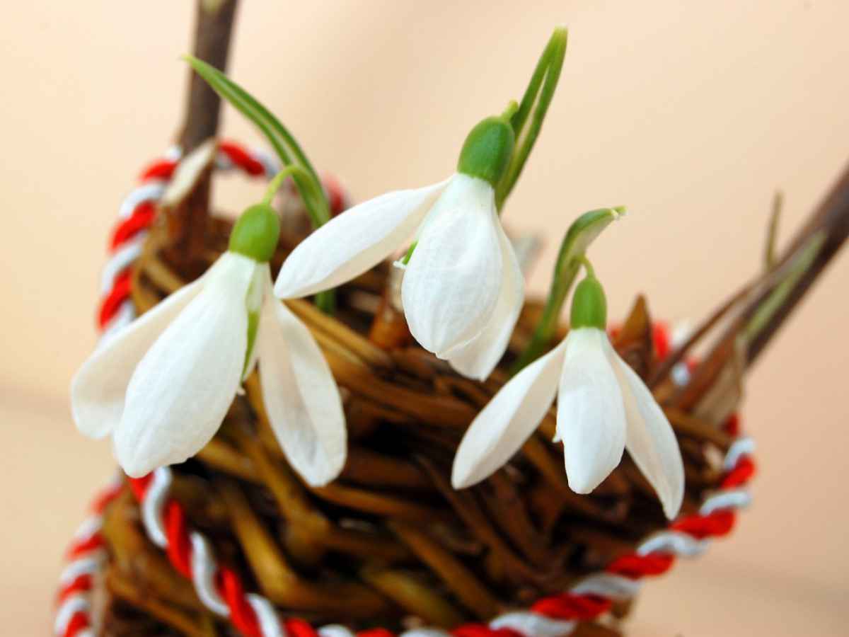 Mesaje De 1 Martie Mesaje Urari De Martisor De Trimis Mamelor