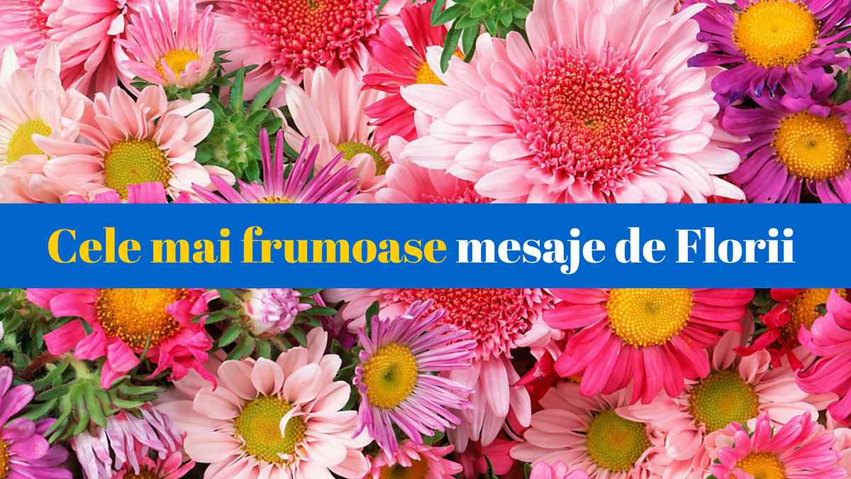 Mesaje De Florii Sms Uri Si Urari Pentru Familie Prieteni Femei