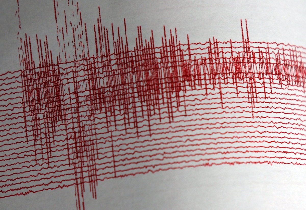 Cutremur de 3,1 pe scara Richter, in judetul Vrancea