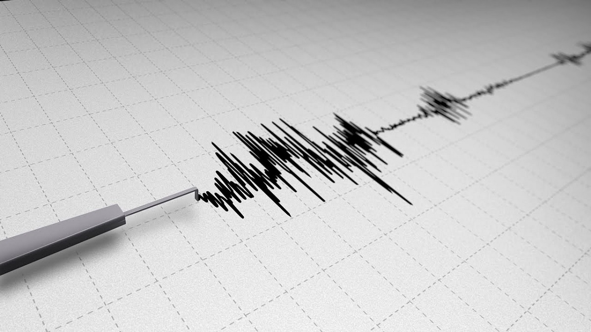 Un cutremur cu magnitudinea de 3,6 s-a produs joi, la ora locala 0:31, in judetul Buzau, zona seismica Vrancea, potrivit Institutului National pentru Fizica Pamantului (INFP).