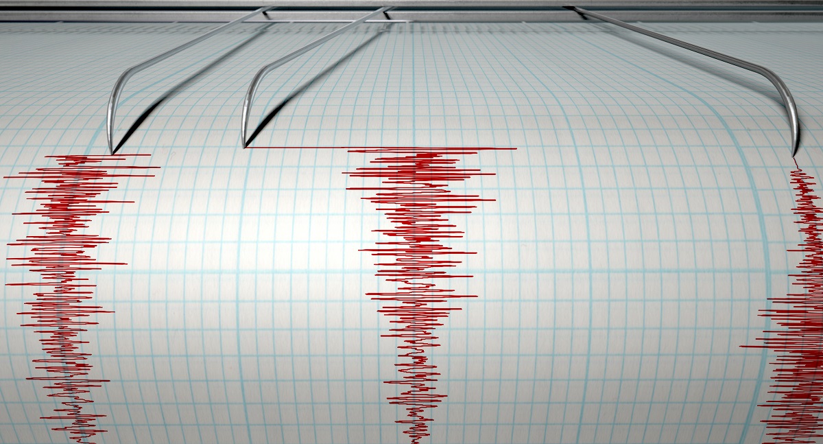 Şeful INFP, despre cutremurul din Vrancea Nu putem spune că acest seism prevesteşte altceva
