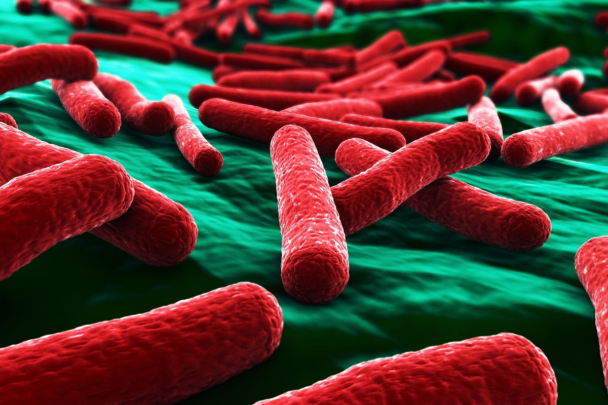 Bacteria E.coli a fost identificată la produse din carne și cașcaval de la unități comerciale din județele Vâlcea și Teleorman, anunță ANSVSA.