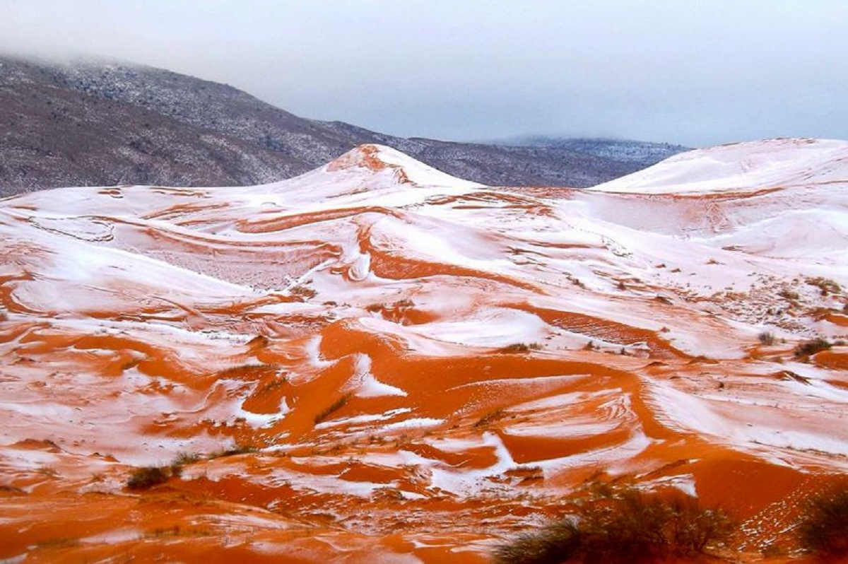 A nins în Sahara, pentru prima dată din februarie 1979. Fotograful Karim Bouchetata a publicat imagini cu dunele de nisip acoperite de zăpadă