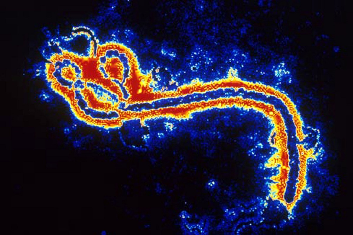 Virusul Ebola a revenit în Republica Democratică Congo, a anunțat Organizația Mondială a Sănătății (OMS).