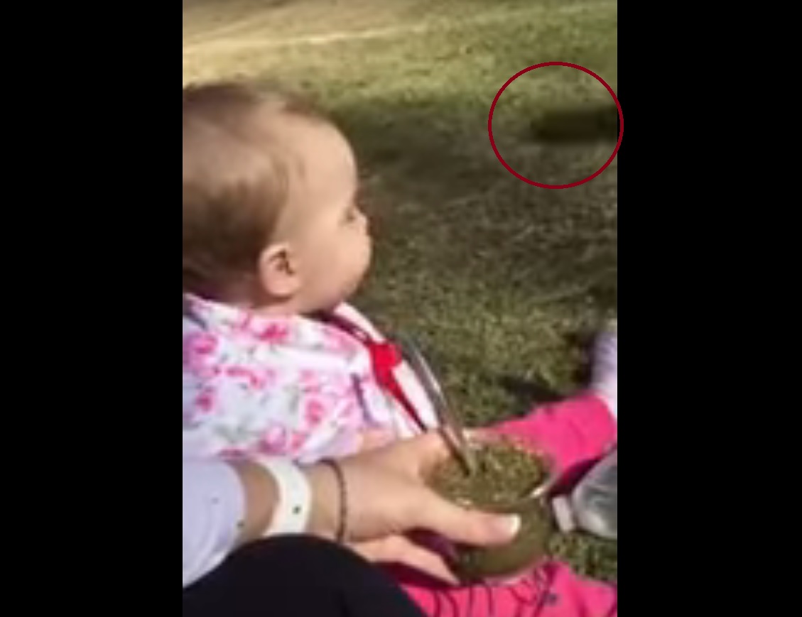 Maria stătea cu copilul în parc, iar după câteva secunde s-a întâmplat ASTA! Imediat a început să țipe!
