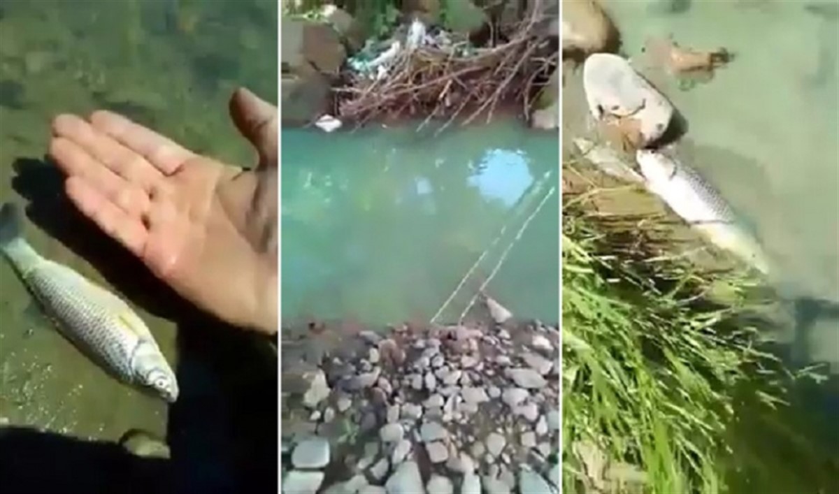 DEZASTRU pe un râu din România! Localnicii au filmat îngroziți imaginile