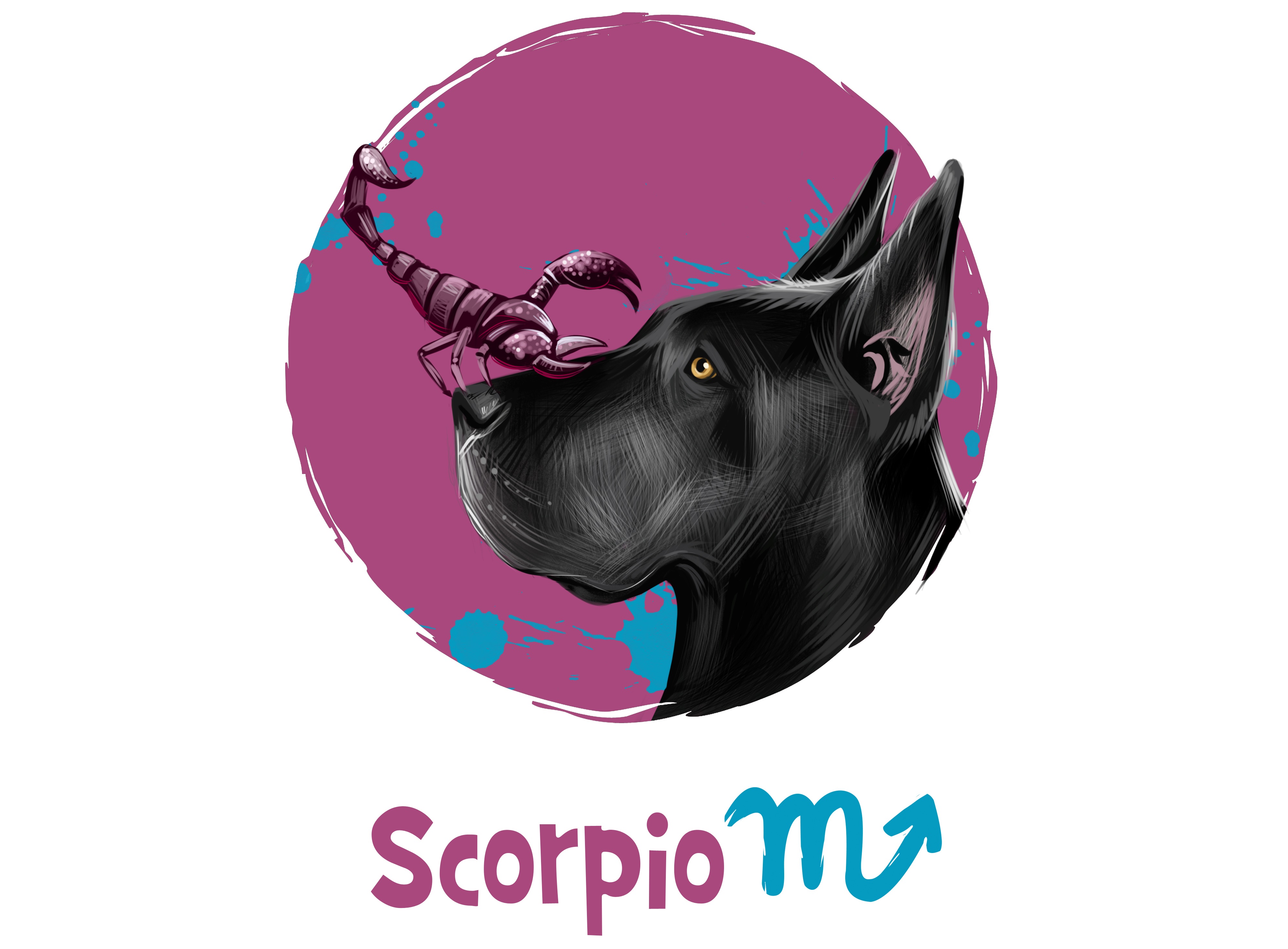 Horoscop săptămânal 11-17 decembrie 2017 Oana Hanganu - Scorpion