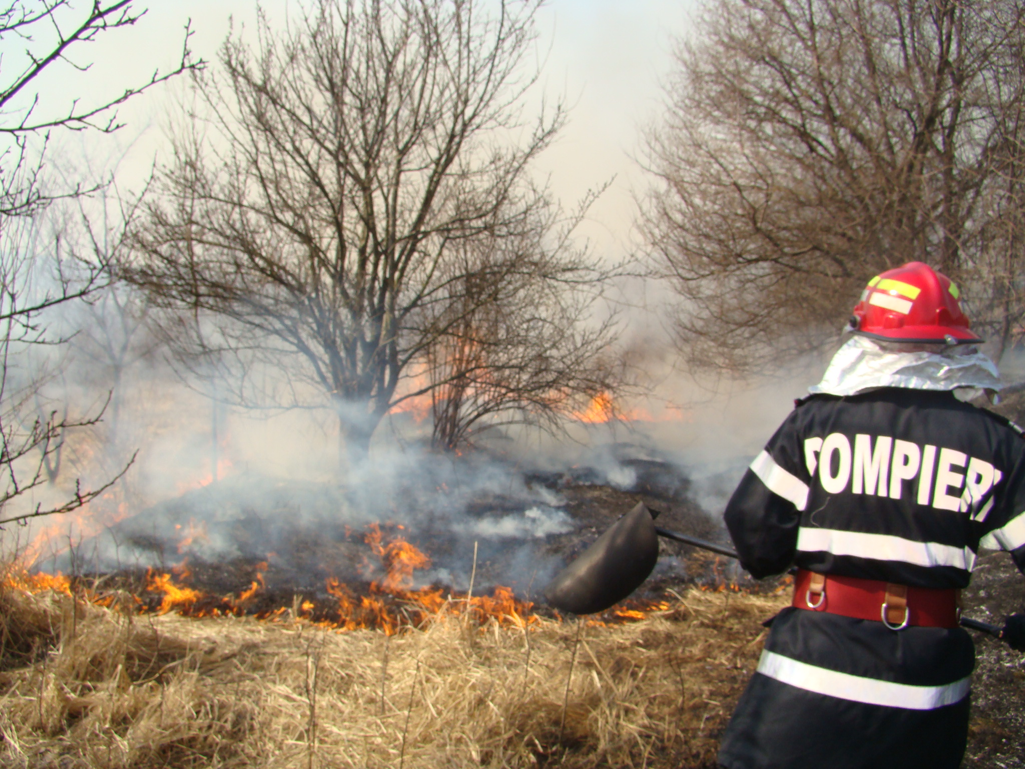 Incendiu lângă cetatea Poenari: Pompierii țin focul sub control