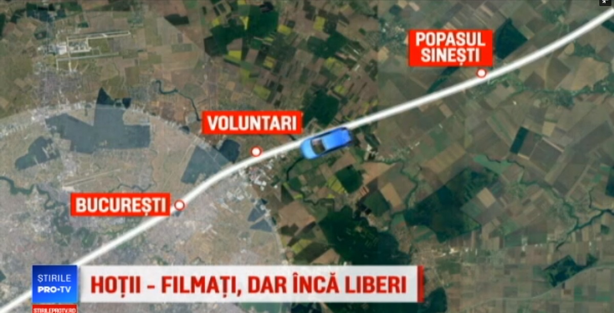 Jafurile din Sinești: Trei suspecți, reținuți. Ce a decis ministrul Carmen Dan