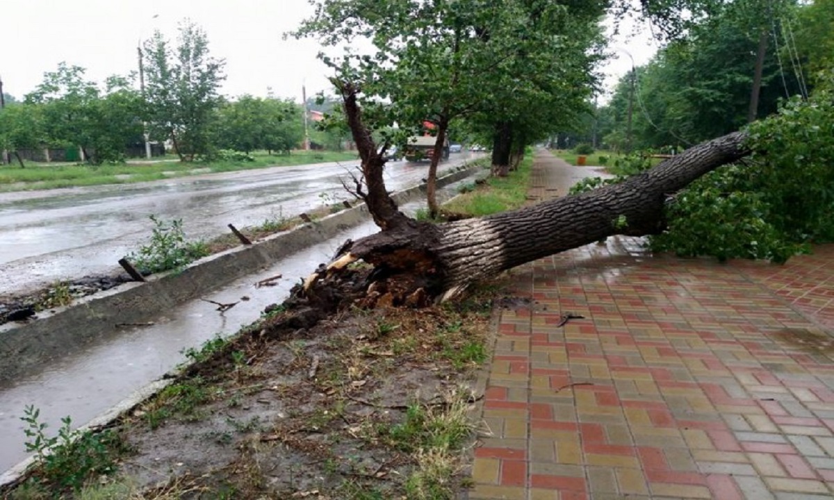 O furtună puternică a măturat județul Arad