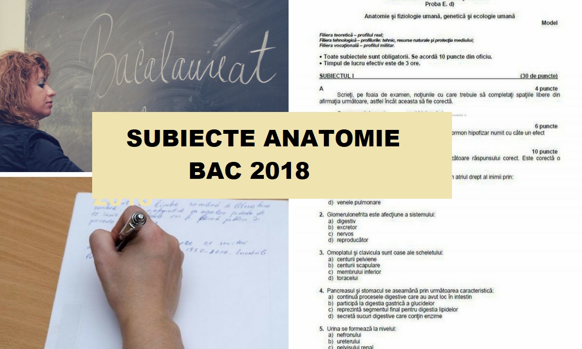 Subiecte Anatomie Bac 2018 - Bareme și corectare