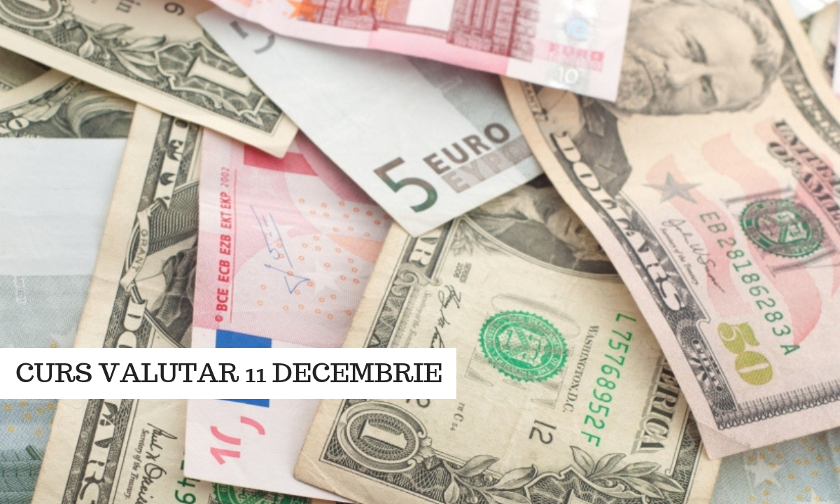 Curs valutar 11 decembrie - Ce curs a anunțat BNR azi