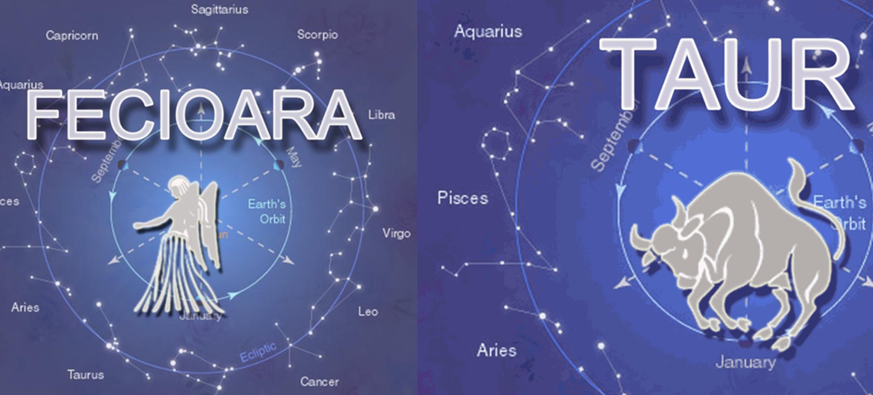Horoscop 15 septembrie 2020. Zi bună pentru nativii din zodia Fecioară