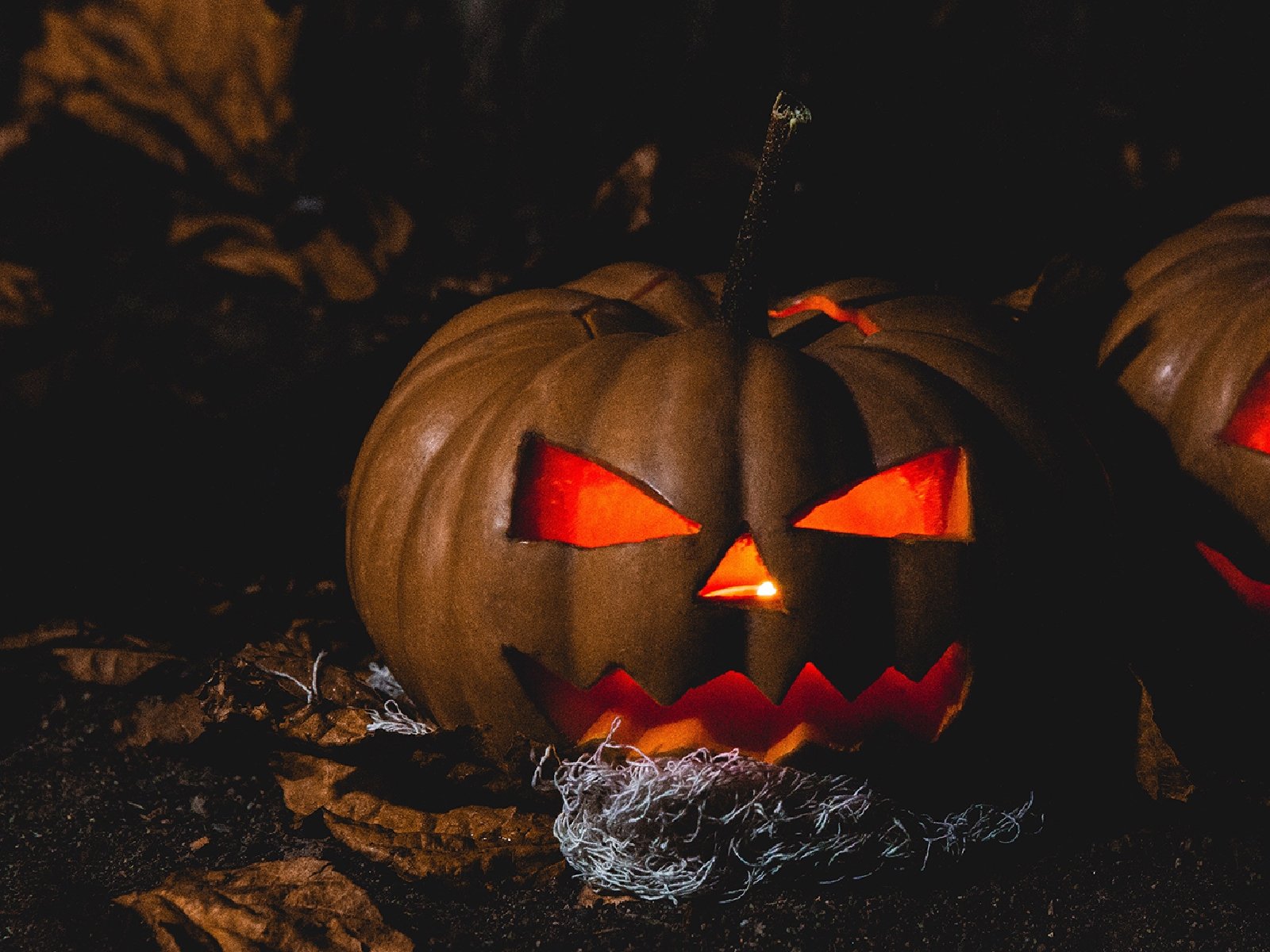 Halloween 2020: Ce să faci cu dovlecii sculptați după sărbătoarea înfricoșătoare