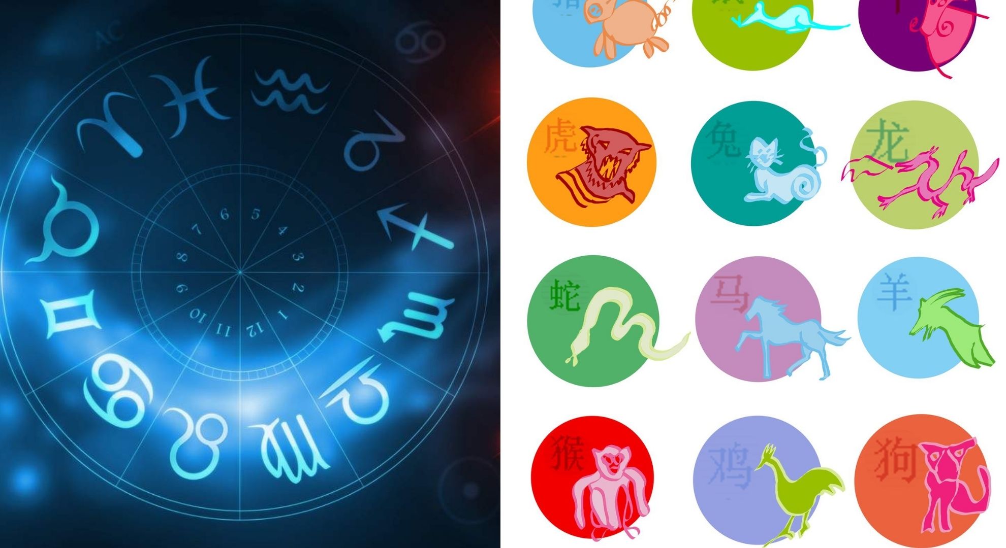 Horoscop 20 noiembrie 2020. Multe de rezolvat înainte de weekend