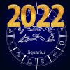 Horoscop 2022 pentru Vărsător. Previziuni astrologice despre bani și dragoste