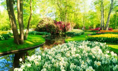 Primăvara acasă: cum îți transformi grădina cu echipamentele potrivite