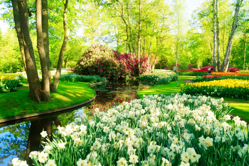 Primăvara acasă: cum îți transformi grădina cu echipamentele potrivite