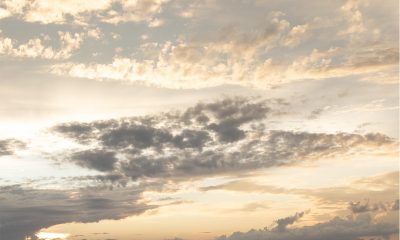 Acces rapid la informații și organizare eficientă în momente importante