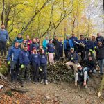 Pârâu de munte într-o pădure din Harghita, apă care curge printre pietre și bușteni