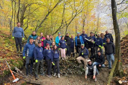 Pârâu de munte într-o pădure din Harghita, apă care curge printre pietre și bușteni