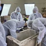 Sarcofag roman din piatră descoperit intact de arheologi în zona Flămânda din Constanța