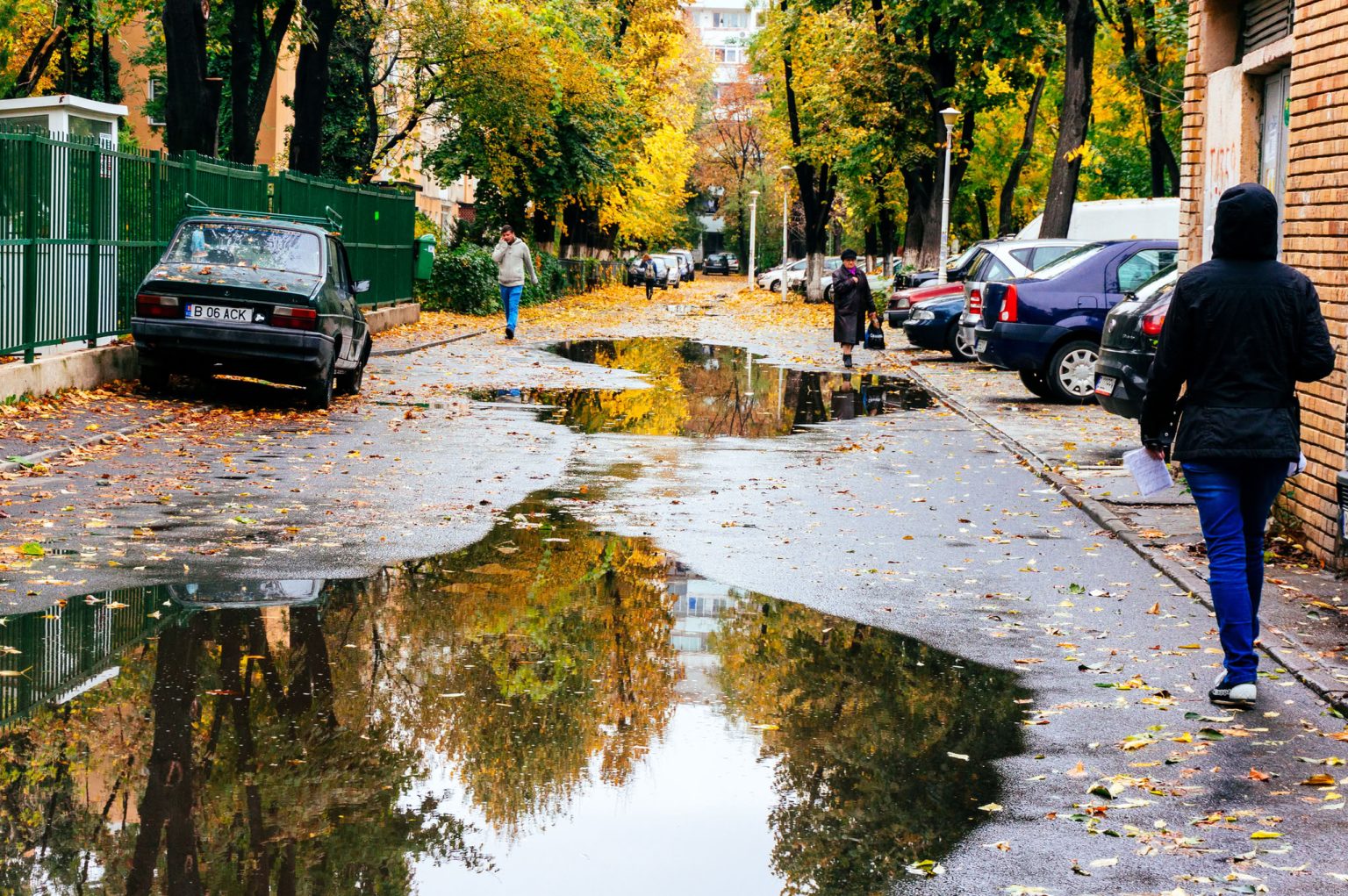 Stradă din București cu frunze galbene de toamnă, într-o zi înnorată de octombrie