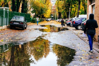 Stradă din București cu frunze galbene de toamnă, într-o zi înnorată de octombrie