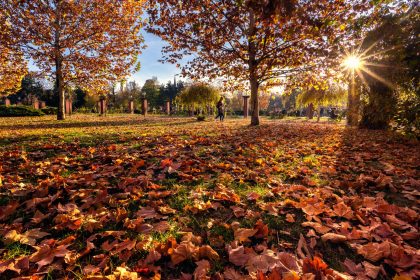 Parc din București toamna, cu frunze galbene și cer parțial noros